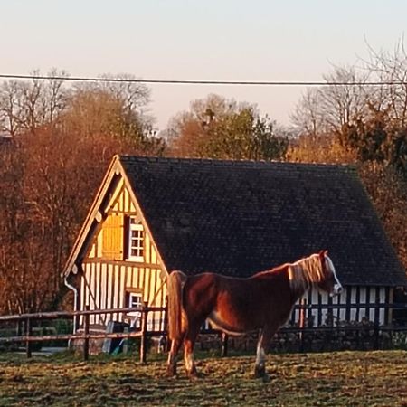 Gite A La Petite Bretonniere Saint-Pierre-Des-Ifs  Экстерьер фото